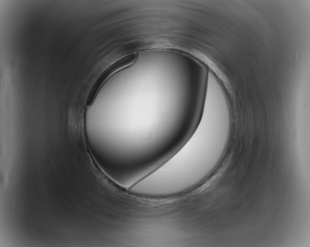 X0000089371289200706150836