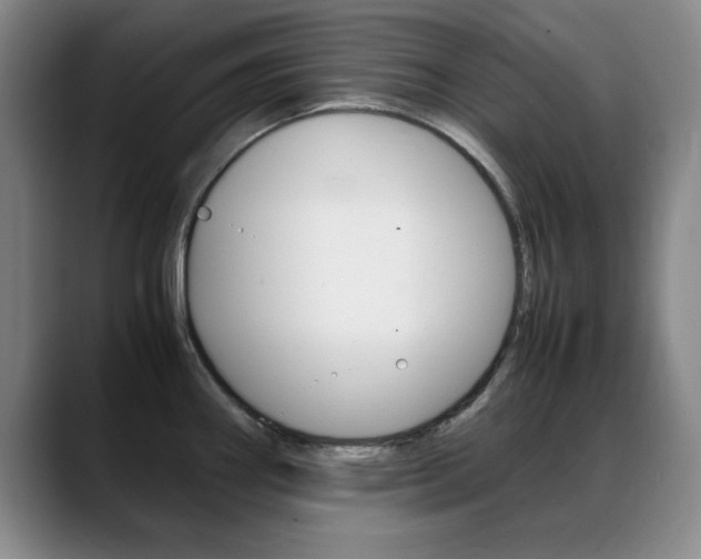 X0000089371290200706150836