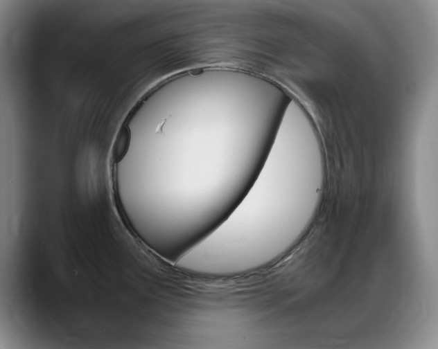 X0000089371291200706150836