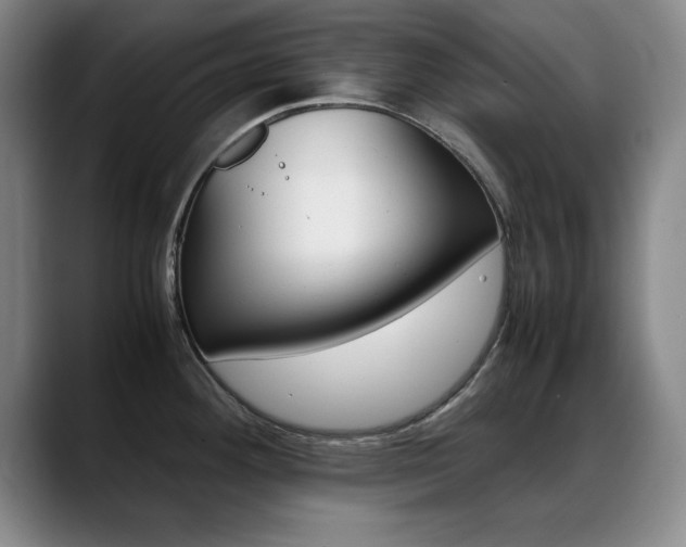 X0000089371292200706150836