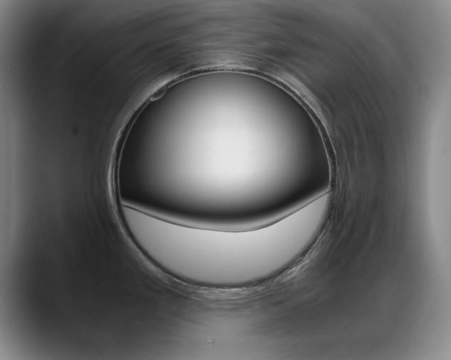 X0000089371293200706150836