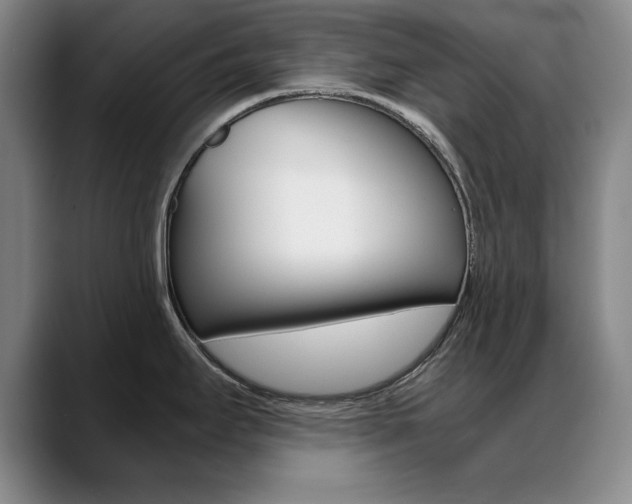 X0000089371295200706150836