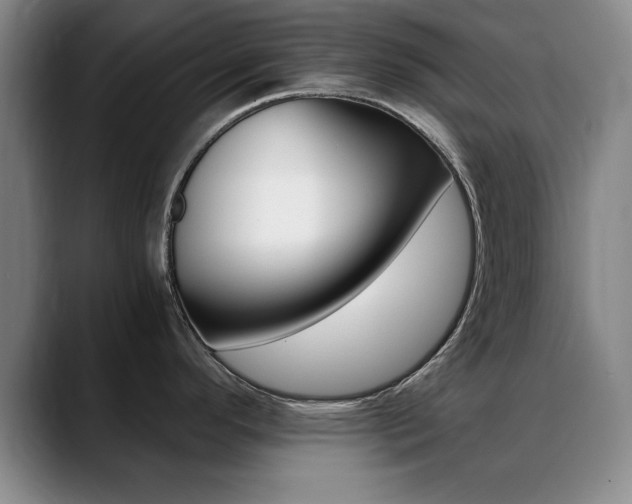 X0000089371296200706150836