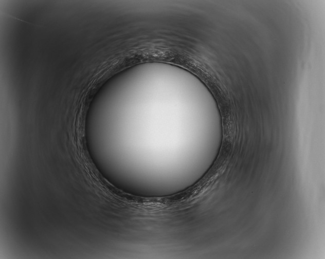 X0000089371297200706150835