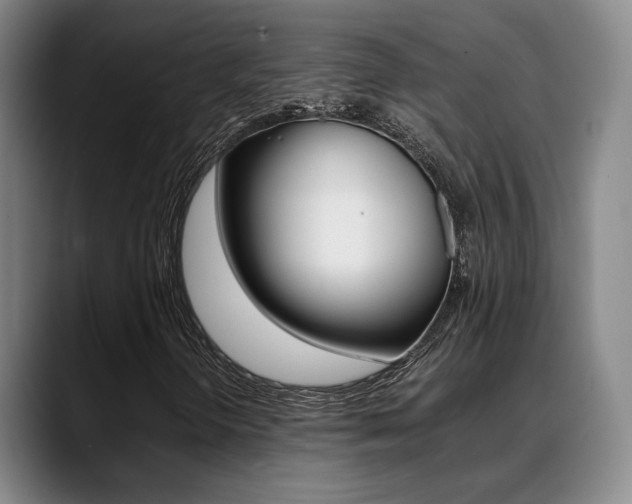 X0000089371298200706150835