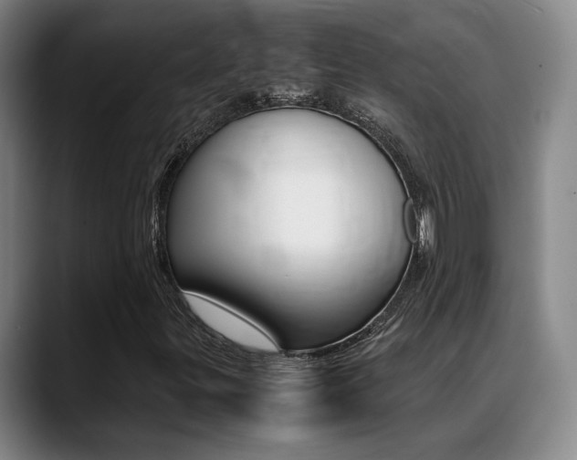 X0000089371299200706150835
