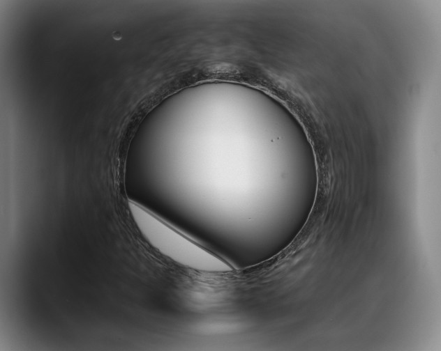 X0000089371301200706150835