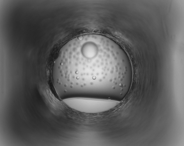 X0000089371302200706150835
