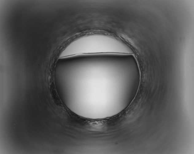 X0000089371303200706150835
