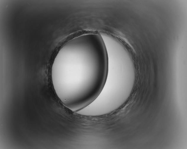 X0000089371304200706150835