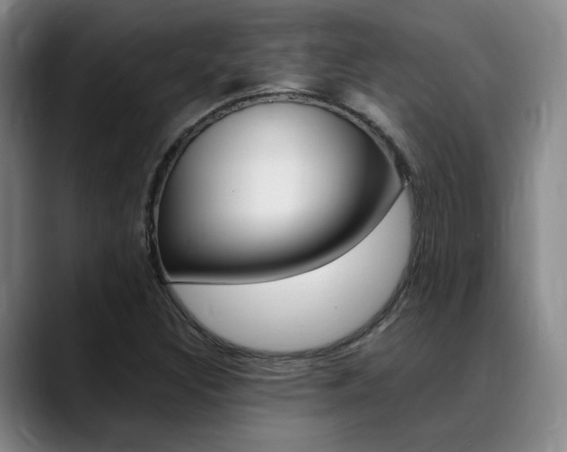X0000089371308200706150835