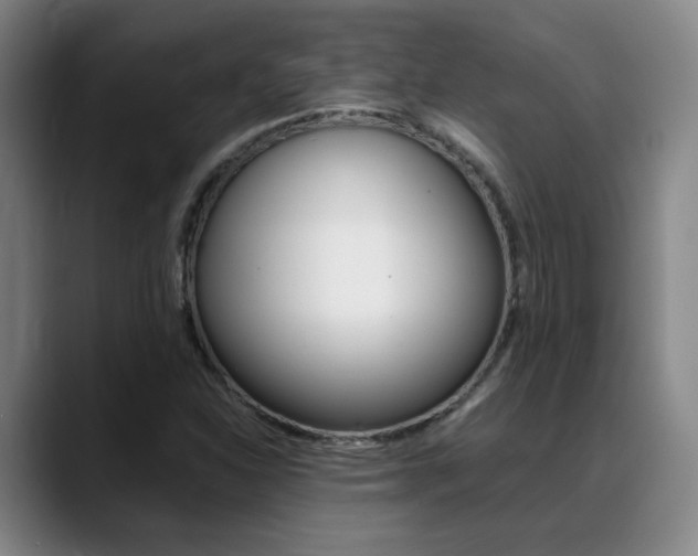 X0000089371310200706150835
