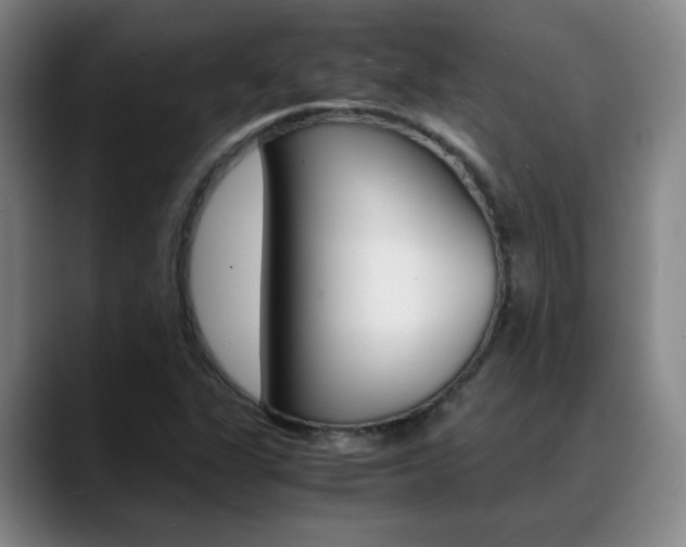 X0000089371311200706150835