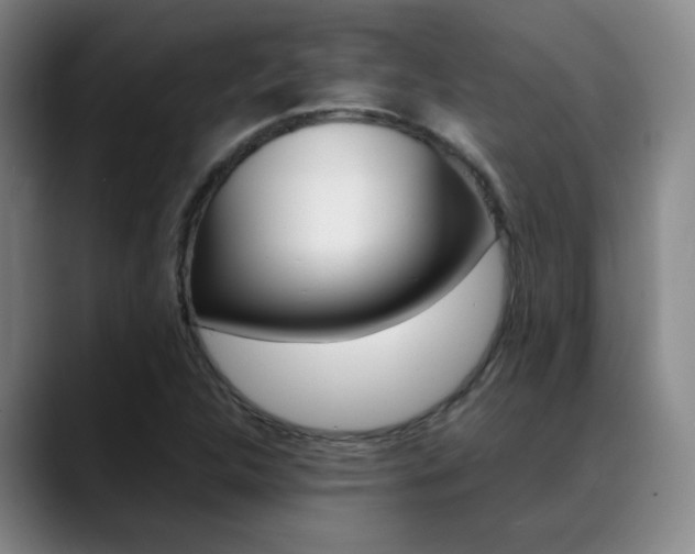 X0000089371312200706150835