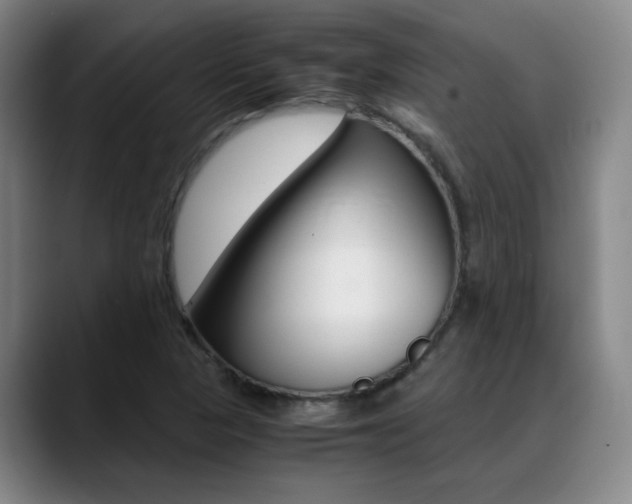 X0000089371313200706150835