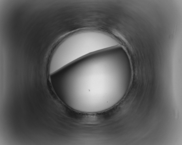 X0000089371315200706150835