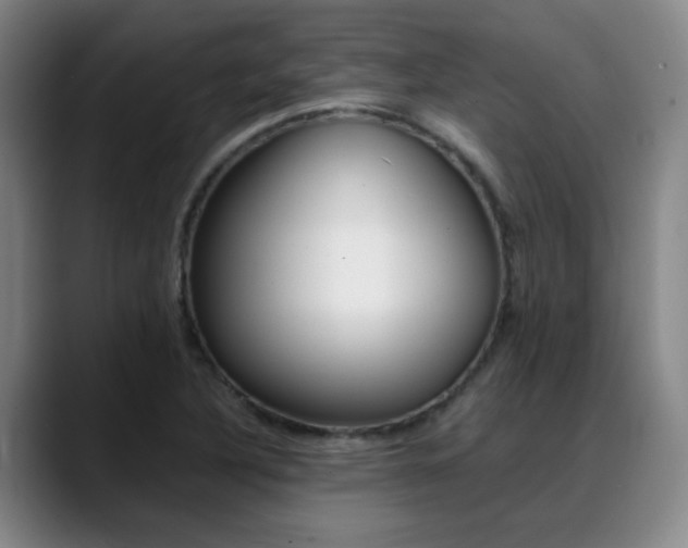 X0000089371316200706150835