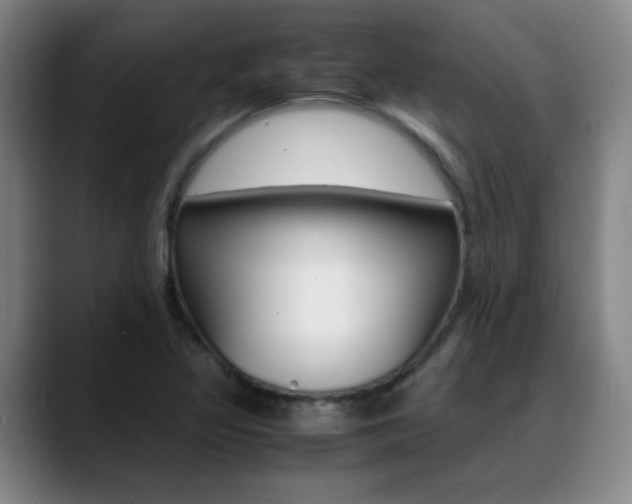 X0000089371317200706150835
