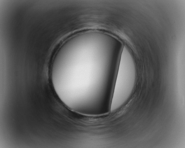 X0000089371318200706150835