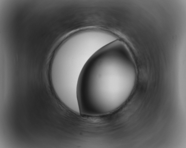 X0000089371319200706150835