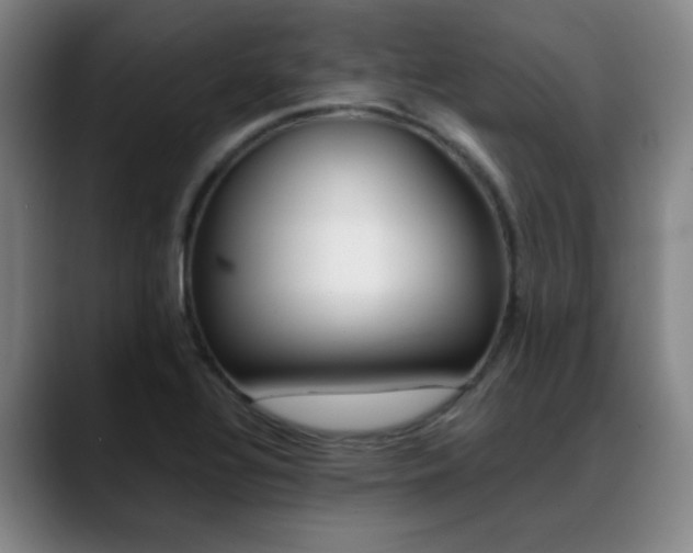 X0000089371320200706150835