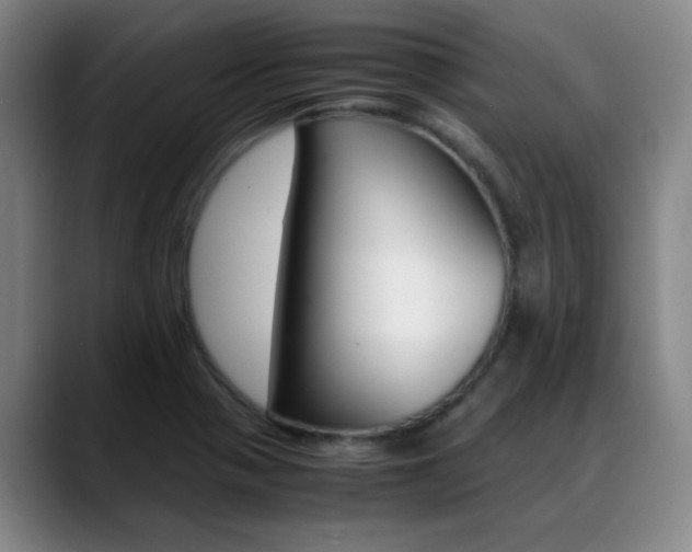 X0000089371321200706150835