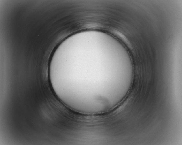 X0000089371322200706150835