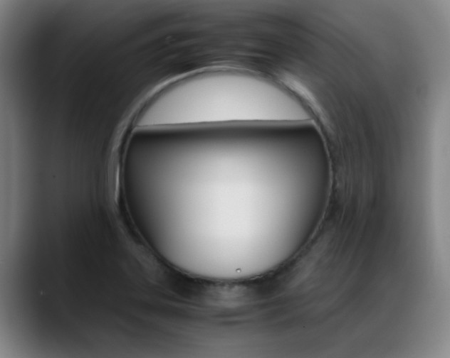 X0000089371323200706150835