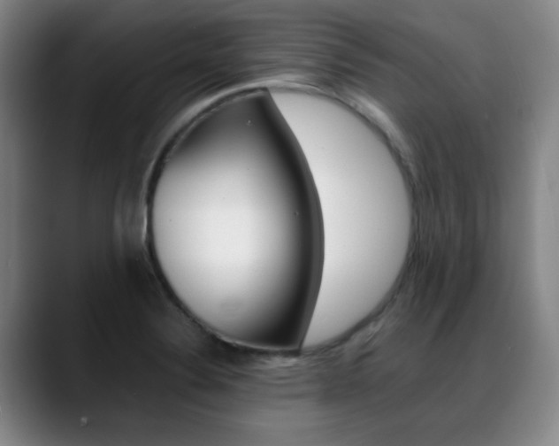 X0000089371324200706150835