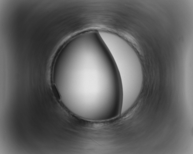 X0000089371326200706150835