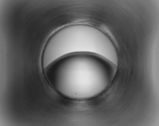 X0000089371328200706150835
