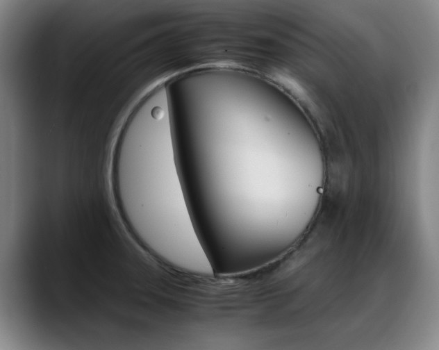 X0000089371331200706150835