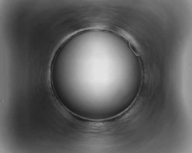 X0000089371332200706150835
