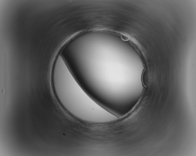 X0000089371333200706150835
