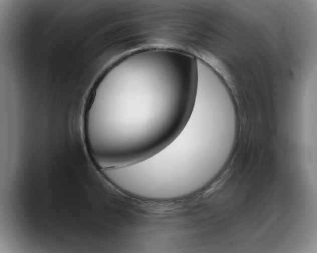 X0000089371334200706150835