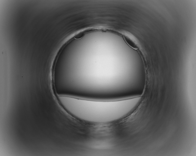 X0000089371335200706150835