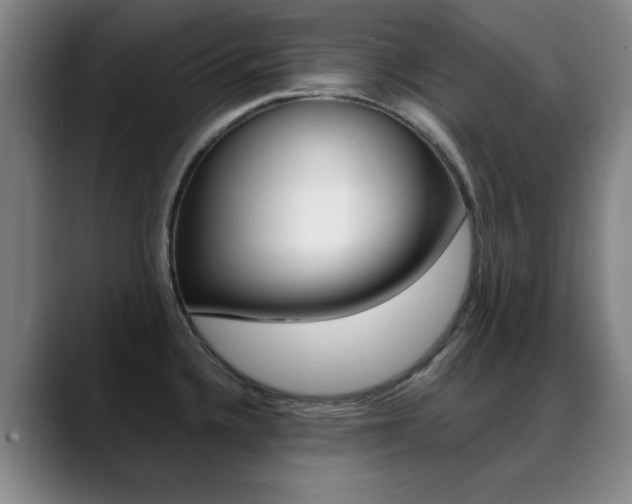 X0000089371336200706150835