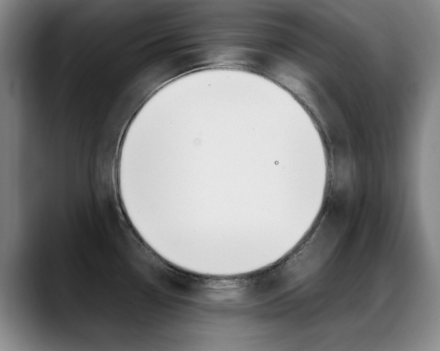 X0000089371338200706150835