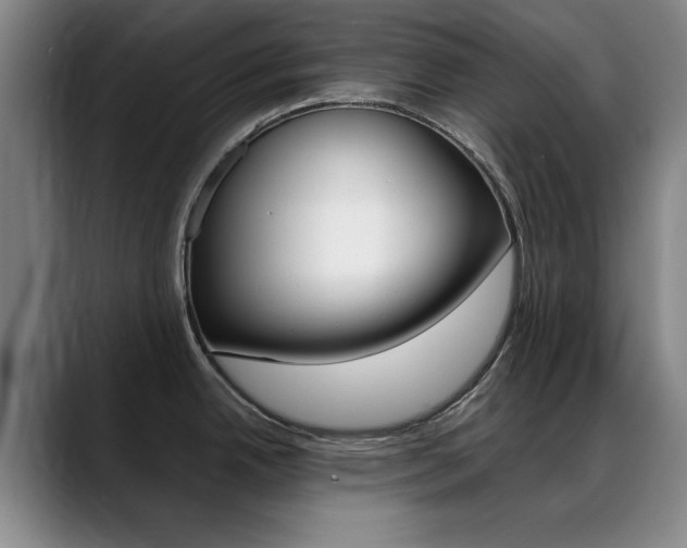 X0000089371342200706150835