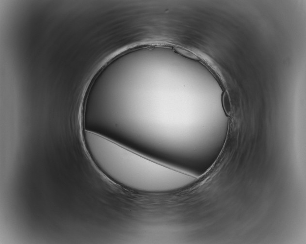 X0000089371343200706150835