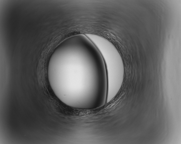 X0000089371345200706150835