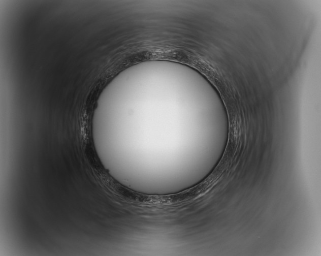 X0000089371346200706150835