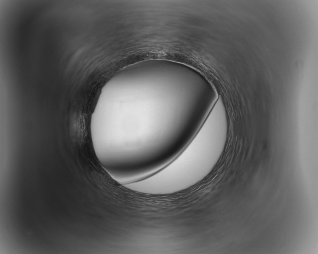 X0000089371347200706150835