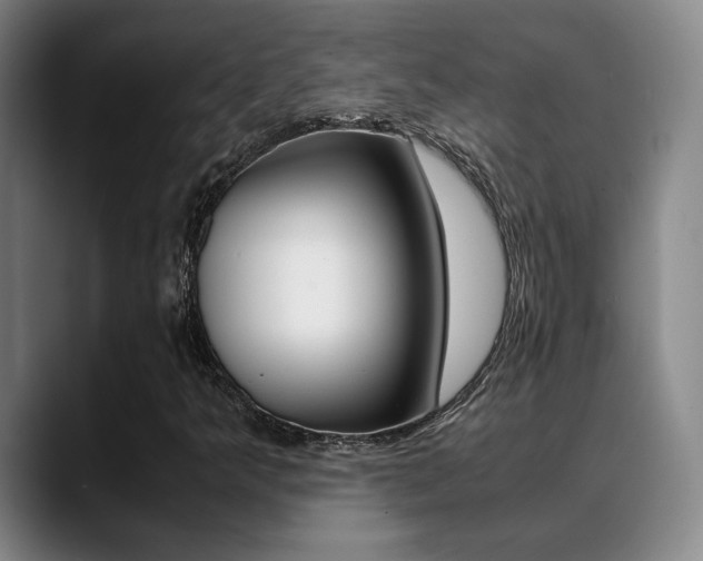 X0000089371349200706150835