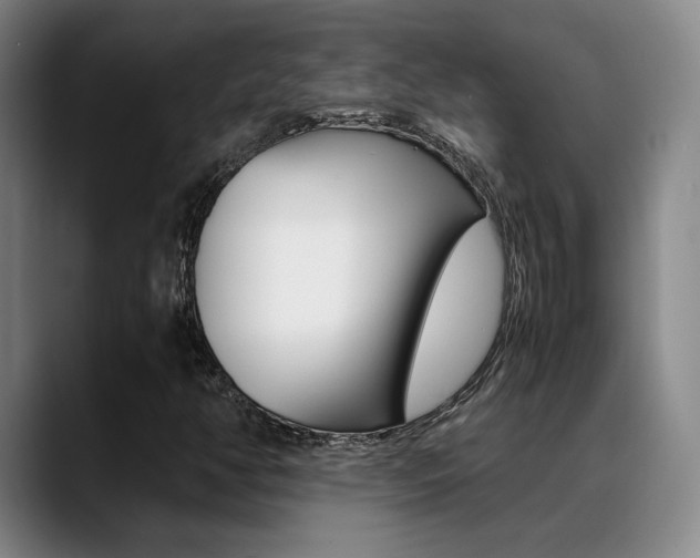 X0000089371350200706150835