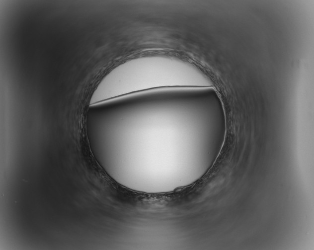 X0000089371351200706150835