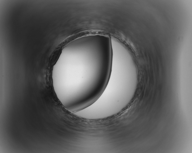 X0000089371352200706150835