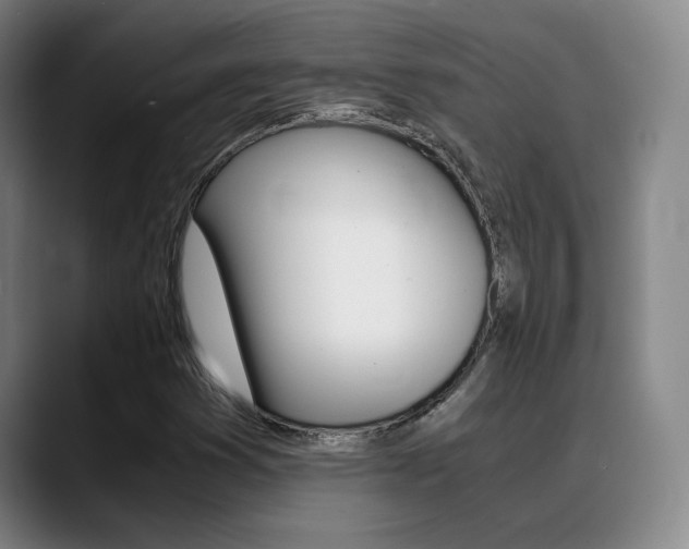 X0000089371353200706150835