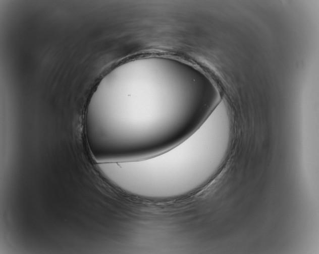 X0000089371355200706150835