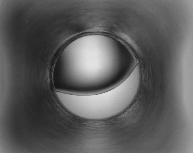 X0000089371356200706150835